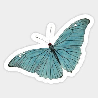 Vintage Butterfly Pattern Sticker